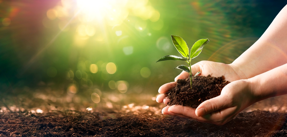 Lush green plants representing the company's vision